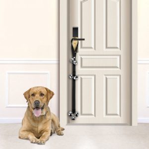 Dogs can ring using this device to let you know they want to go to the bathroom. 