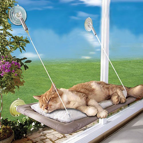 sun cat bed suction cup window 