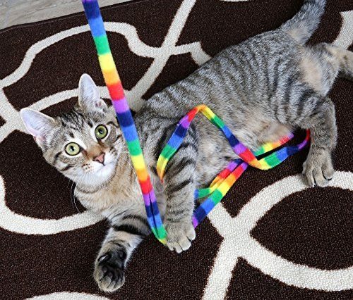 Cat dancing toy
